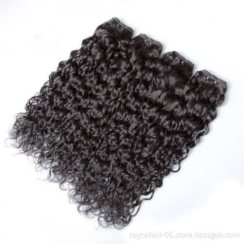 Brazilian Water Wave Virgin Hair Bundle Deals Wet and Wavy Virgin Brazilian Hair Extension 7A Unprocessed Natural Curly Weave